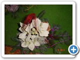 Imagen 2168