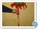 Imagen 2194