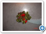Imagen 2213