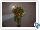 Imagen 2214