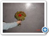 Imagen 2215