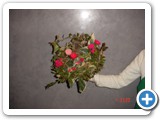 Imagen 2218