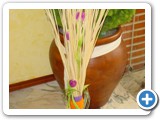 Imagen 2226