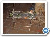 Imagen 2243