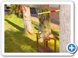 Imagen 2254