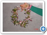 Imagen 2257