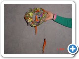 Imagen 2264