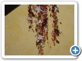 Imagen 2301