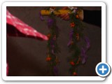Imagen 2307