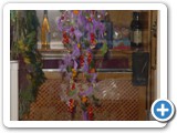 Imagen 2331
