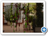 Imagen 2338