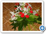 Imagen 2350