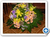 Imagen 2351