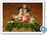Imagen 2353