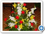 Imagen 2355