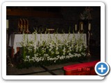 Imagen 2357
