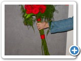 Imagen 2365