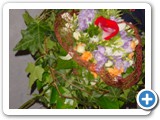 Imagen 2367