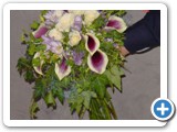 Imagen 2368