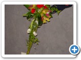 Imagen 2370