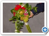 Imagen 2371