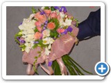 Imagen 2372