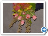 Imagen 2374