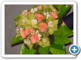 Imagen 2376