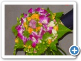 Imagen 2377