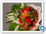 Imagen 2378
