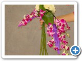 Imagen 2383