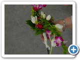 Imagen 2389