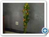 Imagen 2390