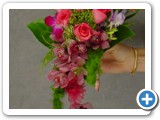Imagen 2391