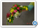 Imagen 2395