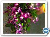 Imagen 2397