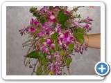 Imagen 2398