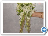 Imagen 2399
