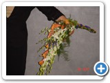 Imagen 2401