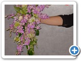 Imagen 2402