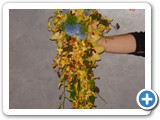 Imagen 2403