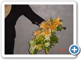 Imagen 2405