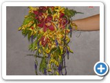 Imagen 2406