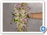 Imagen 2407