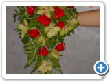 Imagen 2408