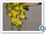 Imagen 2409