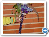 Imagen 2414