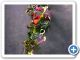 Imagen 2433