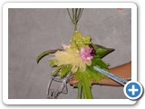 Imagen 2441