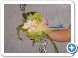 Imagen 2442